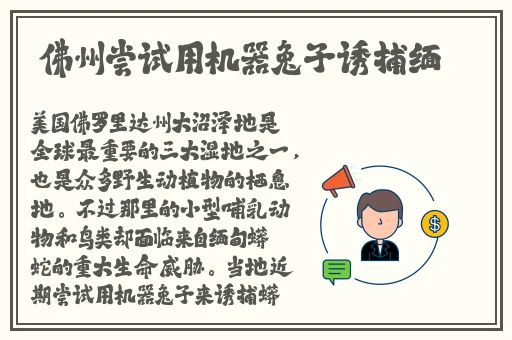 久久久无码精品亚洲日韩按摩